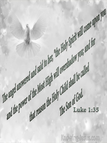 Luke 1:35 The Holy Spirit Will Come Upon You (gray)